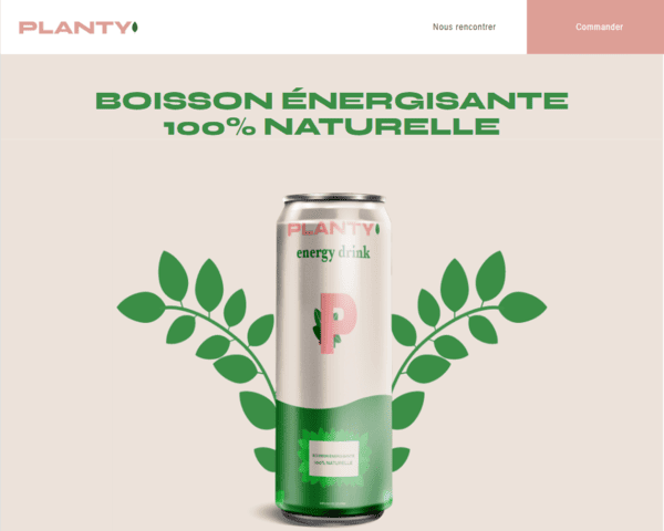 Modèle d'un site WordPress